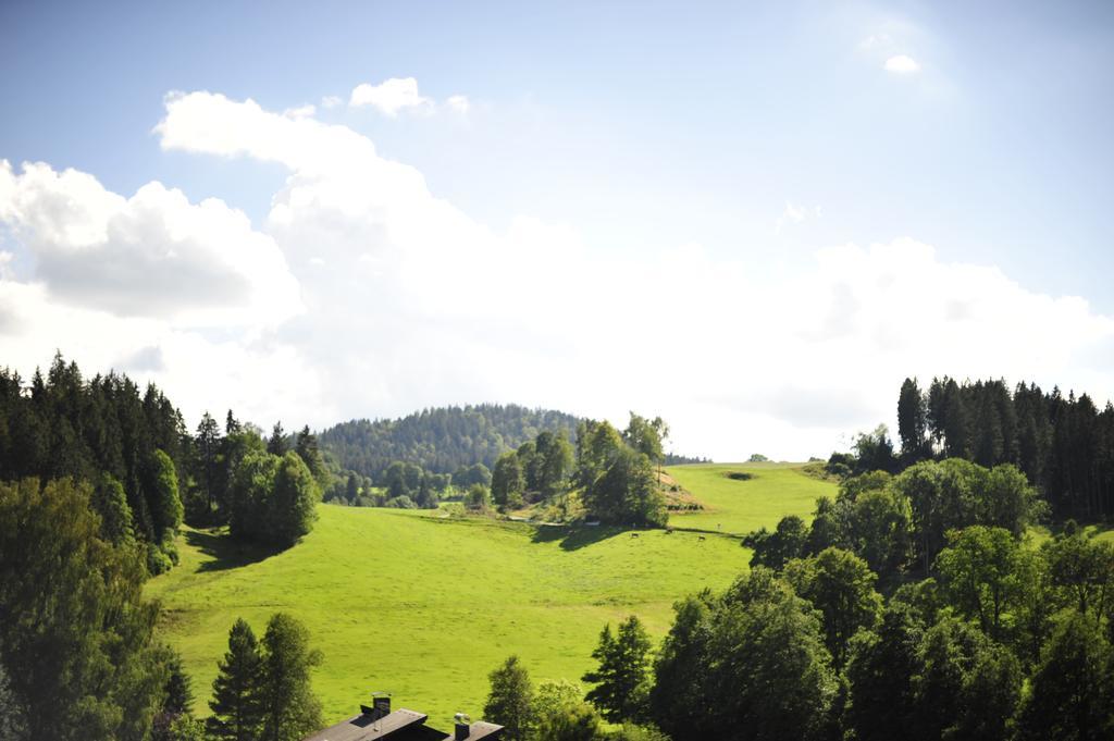 Hotel Ferien Residenz Bergfried à Hinterzarten Extérieur photo